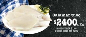 Coto Calamar Tubo x kg oferta