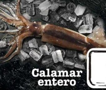 Coto Calamar Entero x kg oferta
