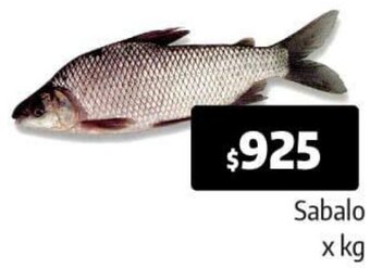 Autoservicio Capo Sabalo oferta