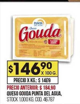 Coto Queso gouda punta del agua oferta
