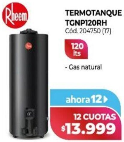 Rheem Termotanque TGNP120RH 120L oferta en Naldo Lombardi