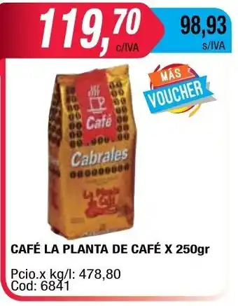 Maxiconsumo Cabrales Café La Planta De Café x 250gr oferta