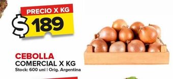 Carrefour Maxi Cebolla comercial kg oferta