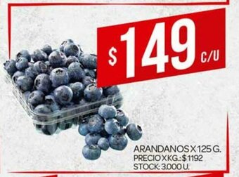 Supermercados DIA Arandanos x 125g oferta