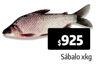 Autoservicio Capo Sábalo oferta
