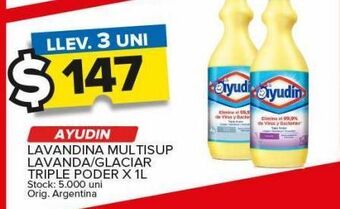 Carrefour Maxi Lavandina ayudin x 1l oferta