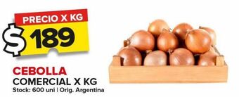 Carrefour Maxi Cebolla comercial kg oferta