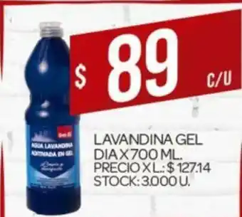 Supermercados DIA Lavandina Gel Dia x 700ml oferta