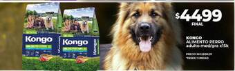 Supermayorista Vital Kongo alimento perro adulto med gra oferta
