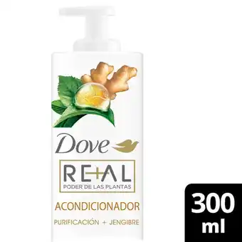 Pigmento Acondicionador poder de las plantas purificación + jengibre oferta