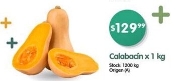 Supermercados Buenos Días Calabacín x 1kg oferta
