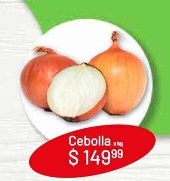 Makro Cebolla x kg oferta