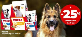 Supermayorista Vital VORAZ Alimento para perros oferta