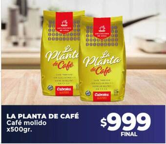 Supermayorista Vital La planta de café café molido oferta