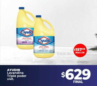 Supermayorista Vital Ayudin lavandina triple poder oferta