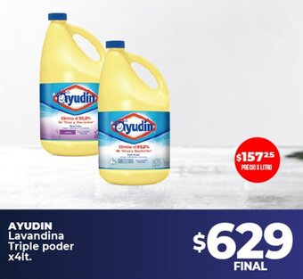 Supermayorista Vital AYUDIN Lavandina Triple poder x4lt. oferta