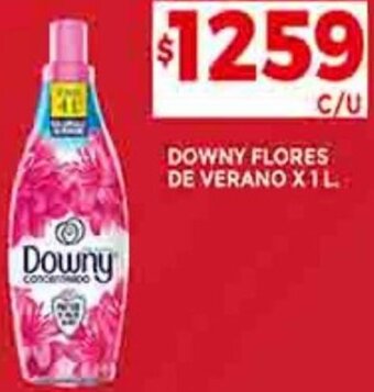 Supermercados DIA DOWNY FLORES DE VERANO X1L oferta