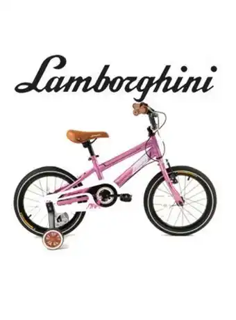 El Mundo del Juguete Bicicleta retro rodado 16 con canasto lamborghini rosa oferta