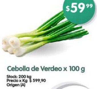Supermercados Buenos Días Cebolla de Verdeo x 100 g oferta
