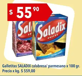 Hergo Saladix Galletitas calabresa/parmesano x 100 gr. oferta