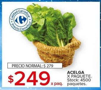 Carrefour Maxi Acelga x paquete oferta
