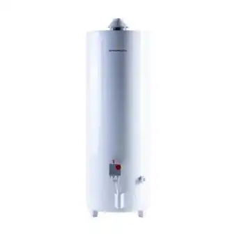 Pinturerías Rex Termotanque a gas sherman 120 litros de pie tpgp120 oferta