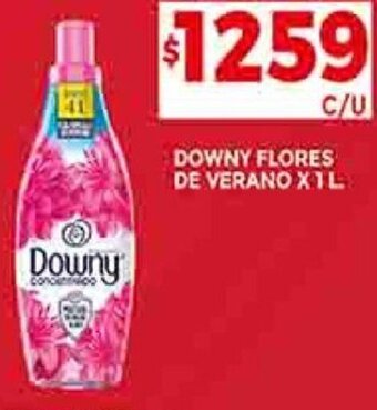 Supermercados DIA DOWNY FLORES DE VERANO X 1L oferta
