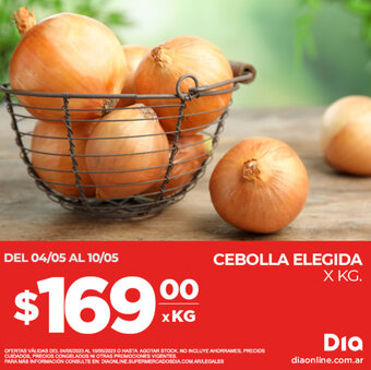 Supermercados DIA CEBOLLA ELEGIDA X KG. oferta