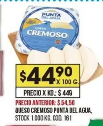 Coto Punta del Agua Queso Cremoso x 100g oferta