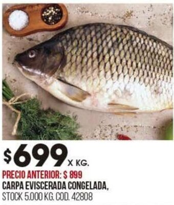 Coto CARPA EVISCERADA CONGELADA oferta
