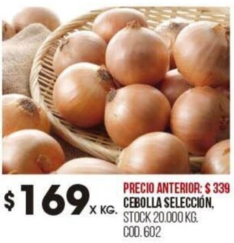 Coto CEBOLLA SELECCIÓN oferta