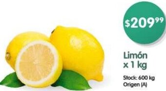Supermercados Buenos Días Limón x 1 kg oferta