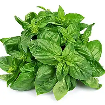 El Abastecedor Albahaca xu oferta