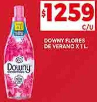 Supermercados DIA DOWNY FLORES DE VERANO X 1L oferta
