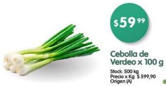 Supermercados Buenos Días Cebolla de Verdeo x 100 g oferta