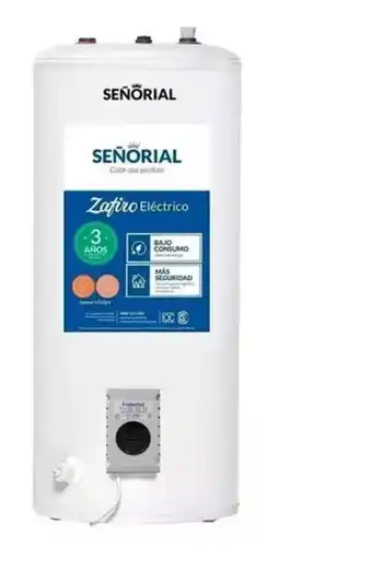 Monumental Hogar Termotanque electrico señorial 95lts 330006 oferta