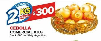 Carrefour Maxi Cebolla comercial kg oferta