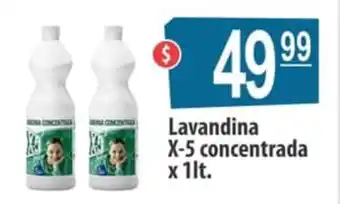 Autoservicio Capo Lavandina X-5 Concentrada x 1lt oferta