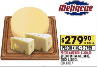 Coto QUESO FONTINA MELINCUE oferta