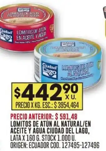 Coto LOMITOS DE ATÚN AL NATURAL/EN ACEITE Y AGUA CIUDAD DEL LAGO, LATA X 160 G. oferta