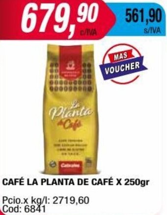 Maxiconsumo CAFÉ LA PLANTA DE CAFÉ X 250gr oferta