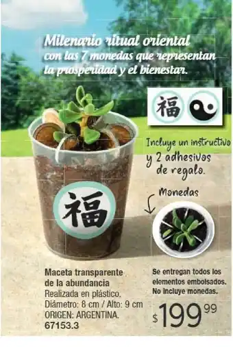 Tsu Cosméticos Maceta Transparente De La Abundancia oferta