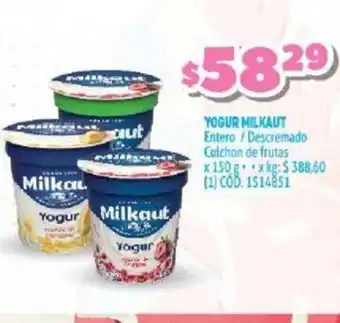 Makro Milkaut Yogur x 150g oferta