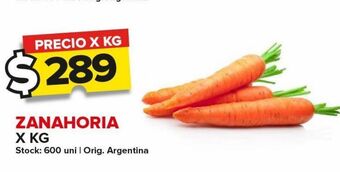 Carrefour Maxi Zanahoria kg oferta