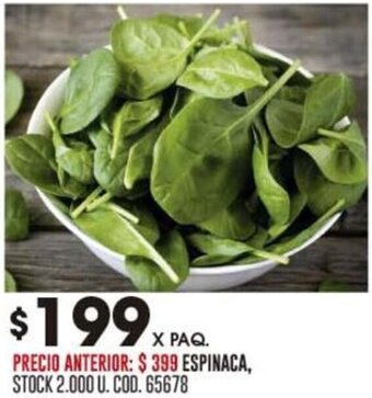 Coto ESPINACA oferta