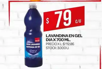 Supermercados DIA Lavandina En Gel Dia 700ml oferta