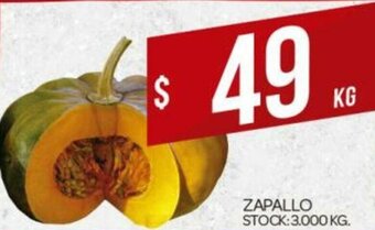 Supermercados DIA Zapallo oferta