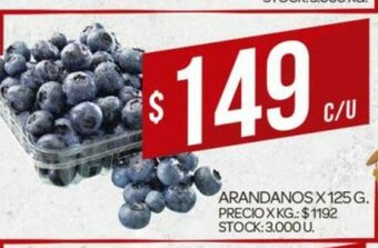 Supermercados DIA Arandanos x 125 g oferta