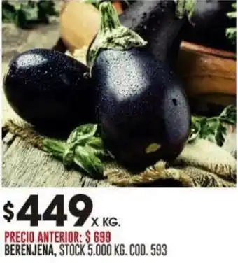 Coto BERENJENA oferta