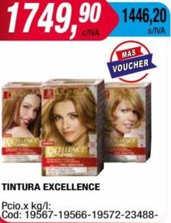 Maxiconsumo TINTURA EXCELLENCE oferta